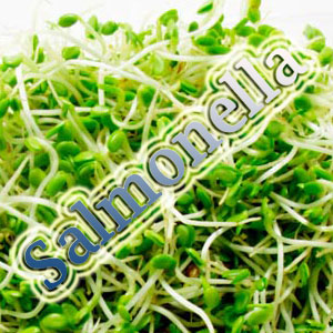 germosalmonella